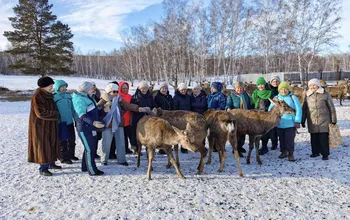 Күміс университет: тыңдаушылар Ақмола облысының көркем бұрыштарын тамашалады