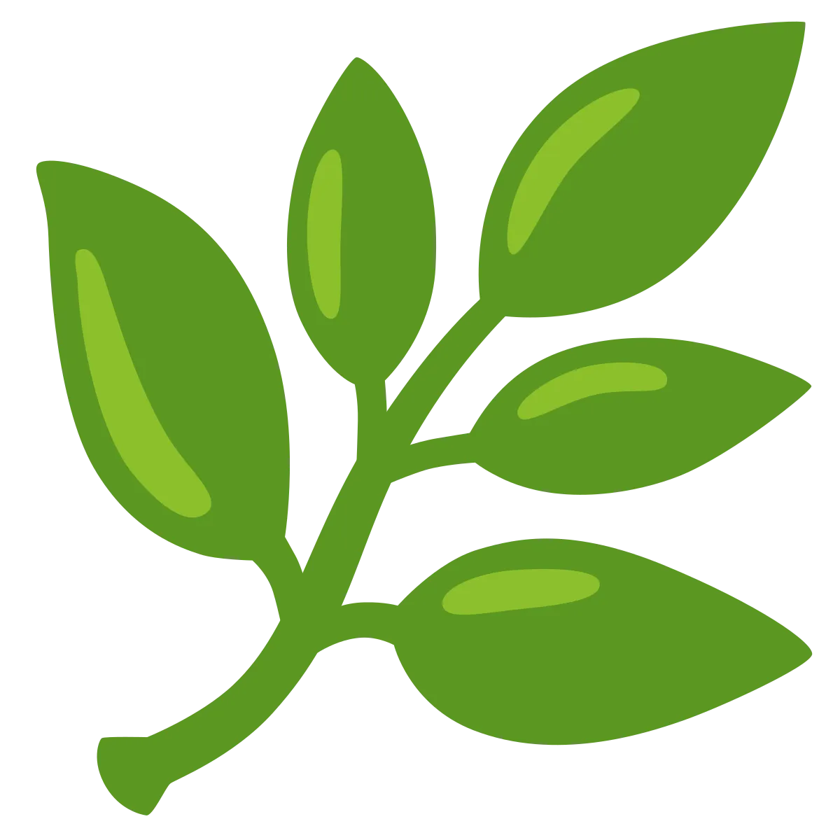 Цифровой Гербарий