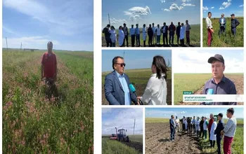 2024 жылғы 11 шілдеде Қазақстан Республикасы Ғылым және жоғары білім министрлігінің Ғылым комитетінің мақсатты-бағдарламалы қаржыландыруы бойынша